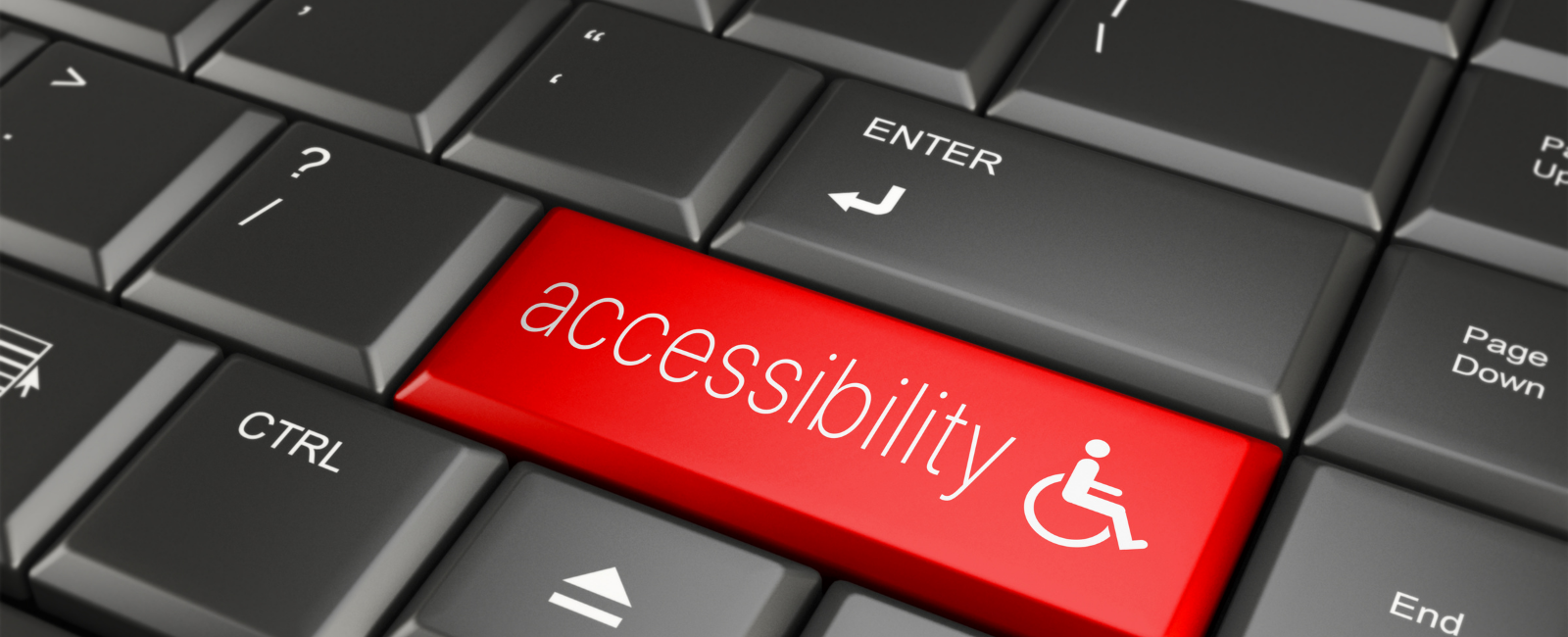 Accessibility page banner